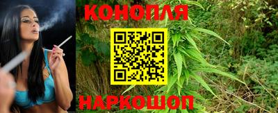 прущие грибы Краснодар