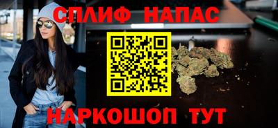 прущие грибы Краснодар