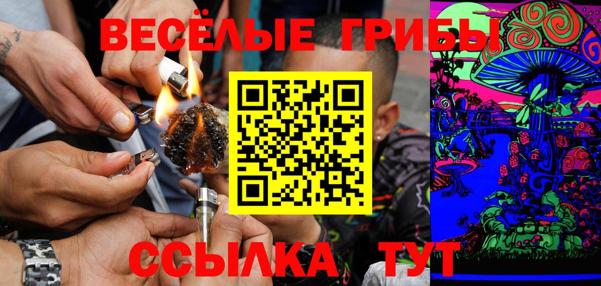 Галлюциногенные грибы Cubensis Зеленокумск