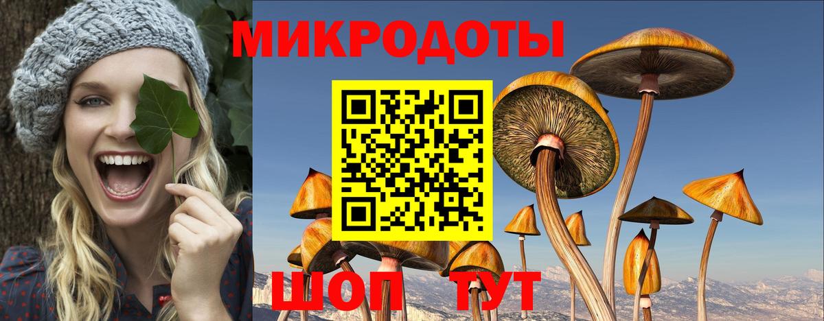 Зеленокумск  Галлюциногенные грибы Cubensis  закладка  Вход с VPN 